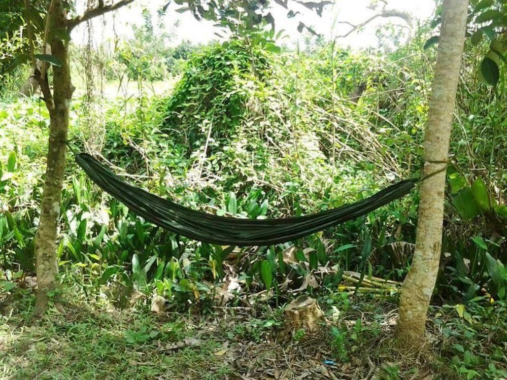 Green Village Homestay Cần Thơ Kültér fotó