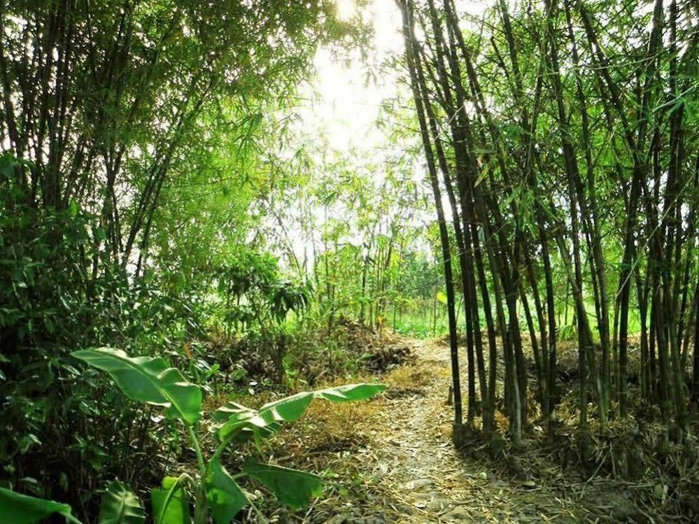 Green Village Homestay Cần Thơ Kültér fotó