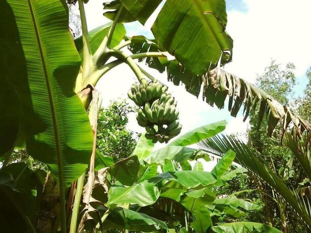 Green Village Homestay Cần Thơ Kültér fotó